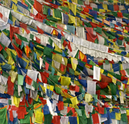 flags
